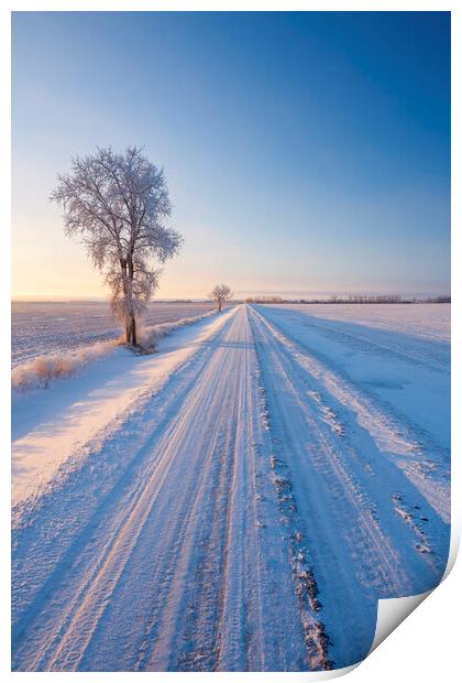 backroad through farmland  in winter Print by Dave Reede