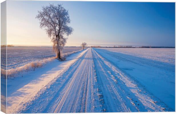 backroad through farmland  in winter Canvas Print by Dave Reede