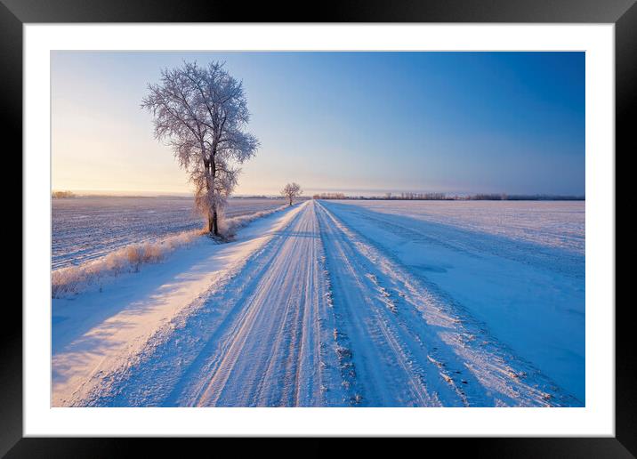 backroad through farmland  in winter Framed Mounted Print by Dave Reede