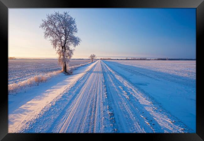 backroad through farmland  in winter Framed Print by Dave Reede