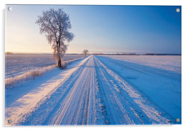 backroad through farmland  in winter Acrylic by Dave Reede