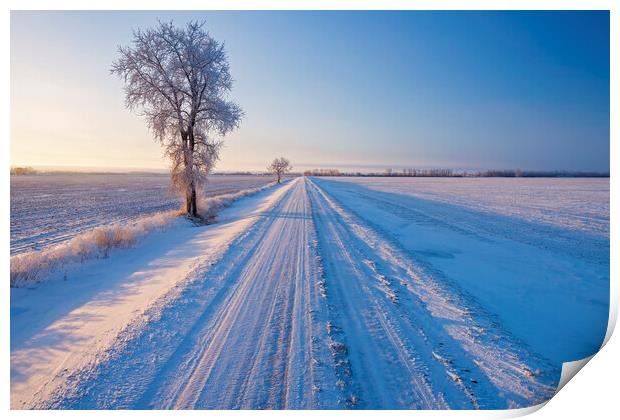 backroad through farmland  in winter Print by Dave Reede