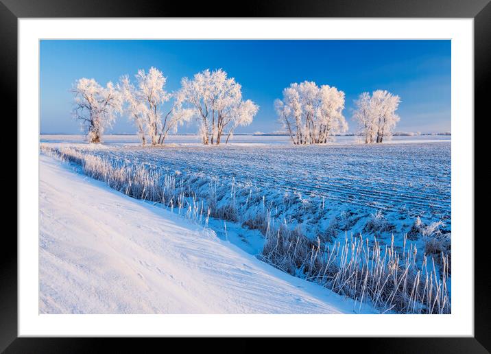 cultivated farmland patterns in winter Framed Mounted Print by Dave Reede