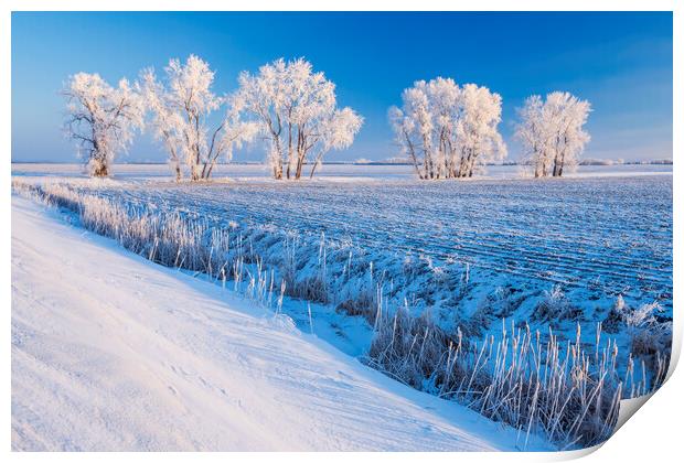 cultivated farmland patterns in winter Print by Dave Reede