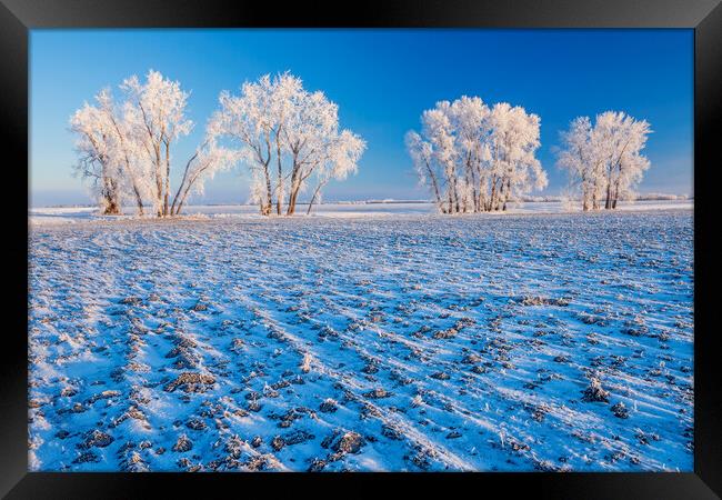 cultivated farmland patterns in winter Framed Print by Dave Reede