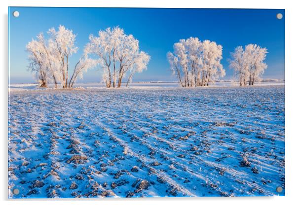 cultivated farmland patterns in winter Acrylic by Dave Reede