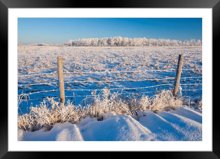farmland  in winter Framed Mounted Print by Dave Reede