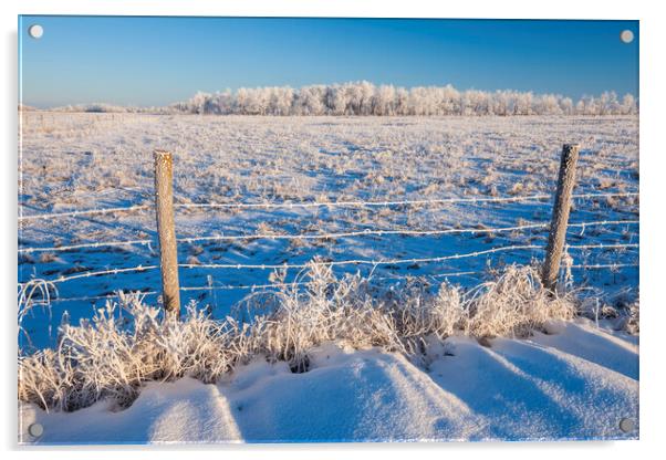 farmland  in winter Acrylic by Dave Reede