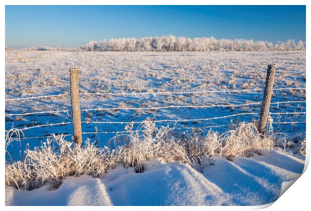 farmland  in winter Print by Dave Reede