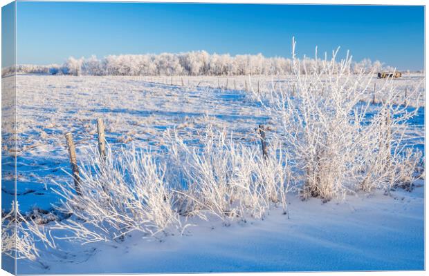 farmland  in winter  Canvas Print by Dave Reede