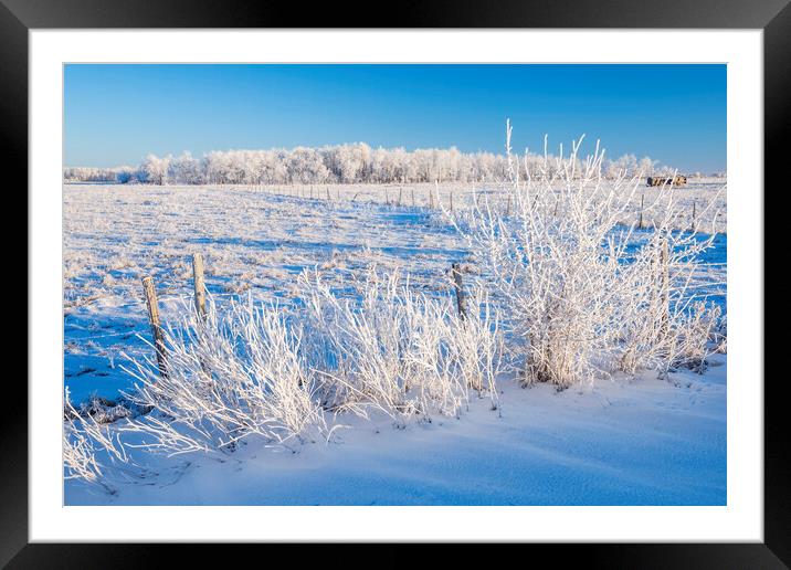farmland  in winter  Framed Mounted Print by Dave Reede