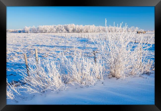 farmland  in winter  Framed Print by Dave Reede