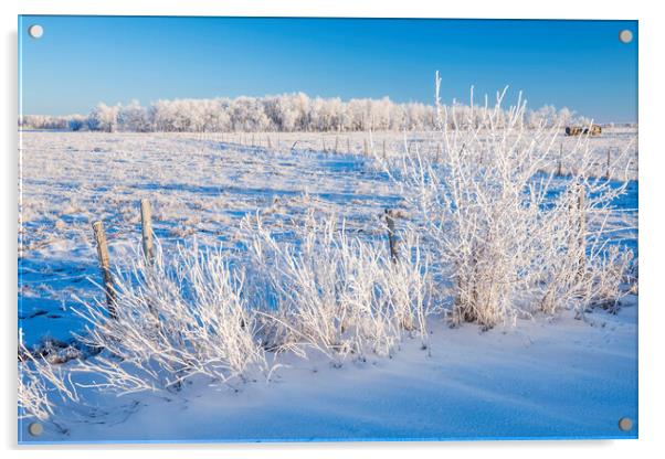 farmland  in winter  Acrylic by Dave Reede