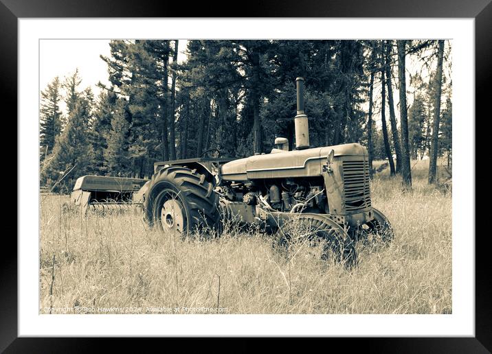 International in the grass Framed Mounted Print by Rob Hawkins