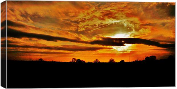 SILHOUETTE SUNSET Canvas Print by Jacque Mckenzie