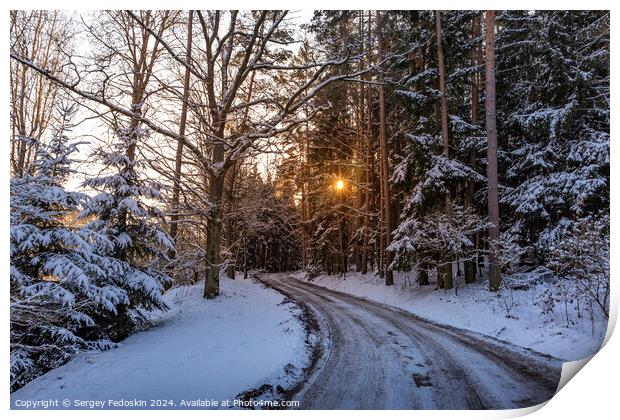 Small country road in winter with sunshine on trees Print by Sergey Fedoskin