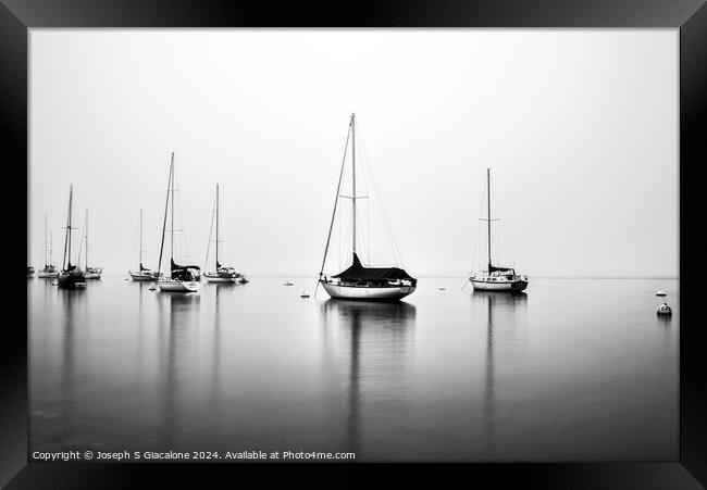 Resting On Glass - San Diego Harbor. Framed Print by Joseph S Giacalone