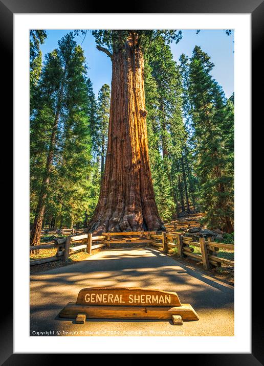 The General Sherman Framed Mounted Print by Joseph S Giacalone