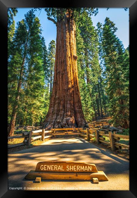 The General Sherman Framed Print by Joseph S Giacalone