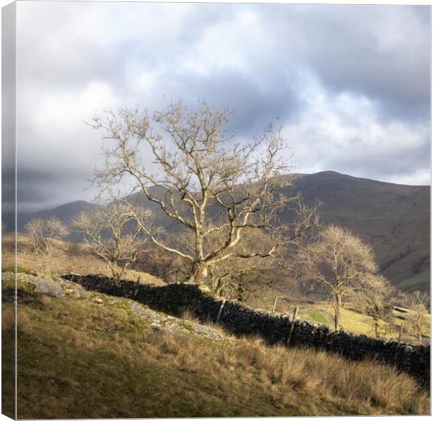 Troutbeck in Winter Canvas Print by Simon Wrigglesworth