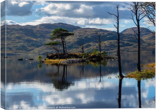 Assynt Loch & Tree Reflections Scottish Highlands  Canvas Print by OBT imaging