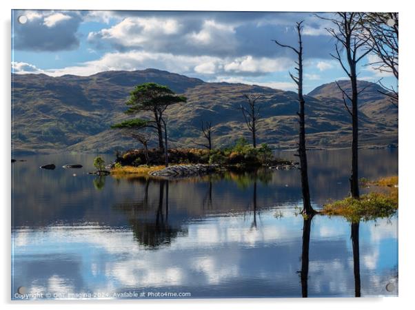 Assynt Loch & Tree Reflections Scottish Highlands  Acrylic by OBT imaging