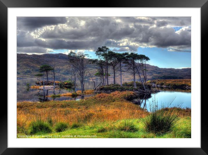 Loch Assynt Pine Trees Late Autumn Scottish Highlands Framed Mounted Print by OBT imaging