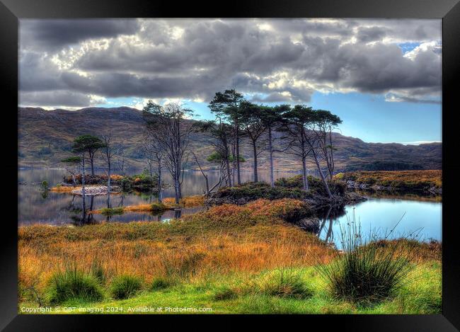 Loch Assynt Pine Trees Late Autumn Scottish Highlands Framed Print by OBT imaging
