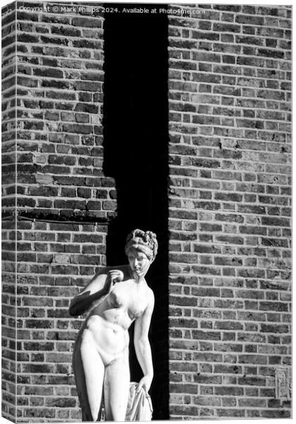 Venus and brick wall Canvas Print by Mark Phillips