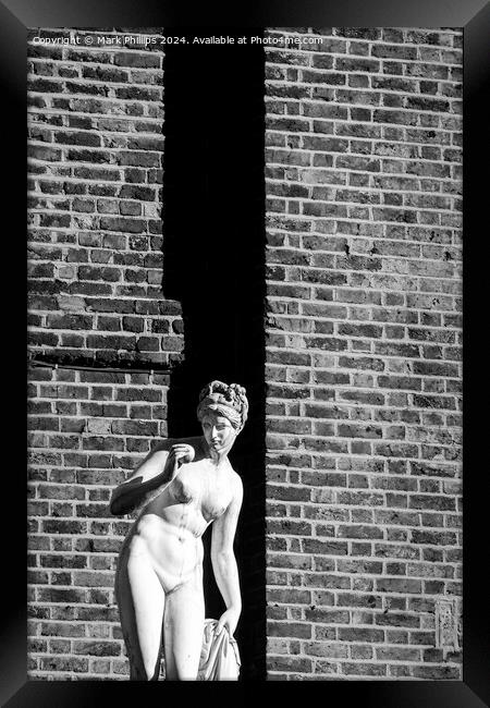 Venus and brick wall Framed Print by Mark Phillips