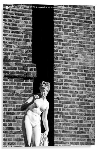 Venus and brick wall Acrylic by Mark Phillips