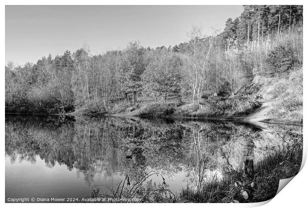 Cannock Chase Autumn Reflections  Print by Diana Mower