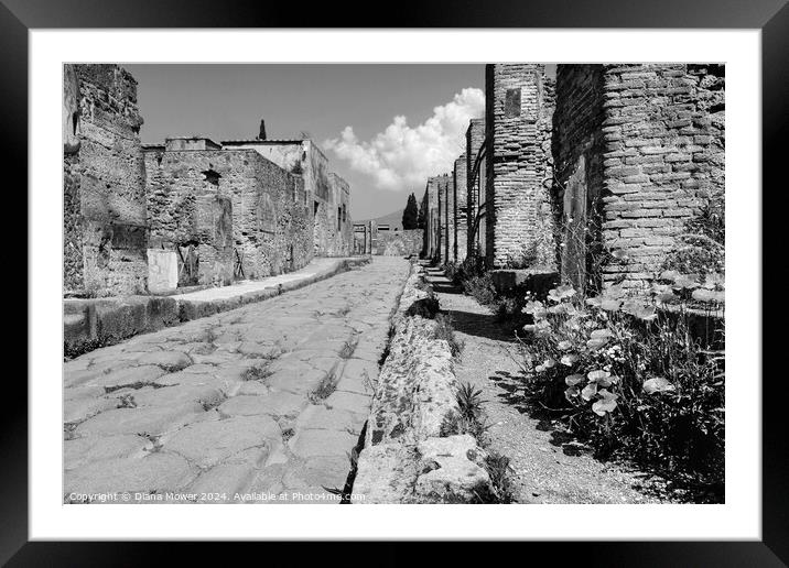 Pompeii Back Street Monochrome Framed Mounted Print by Diana Mower