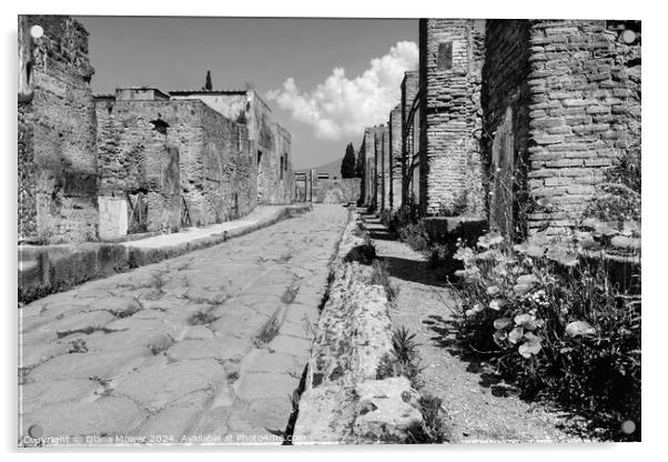 Pompeii Back Street Monochrome Acrylic by Diana Mower