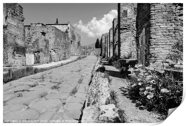 Pompeii Back Street Monochrome Print by Diana Mower