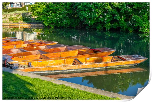 Punts moored on the River Cam in Cambridge Print by Keith Douglas