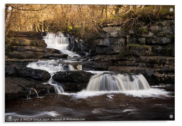 East gill force waterfall 1024 Acrylic by PHILIP CHALK