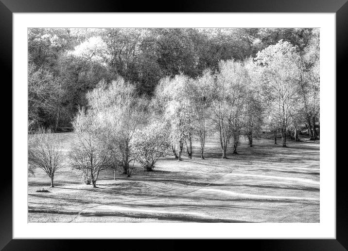 Dartmoor Morning Frost Monochrome Framed Mounted Print by David Pyatt