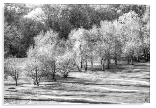 Dartmoor Morning Frost Monochrome Acrylic by David Pyatt