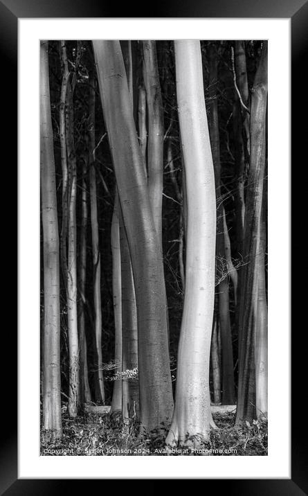  tree trunks light and dark Framed Mounted Print by Simon Johnson