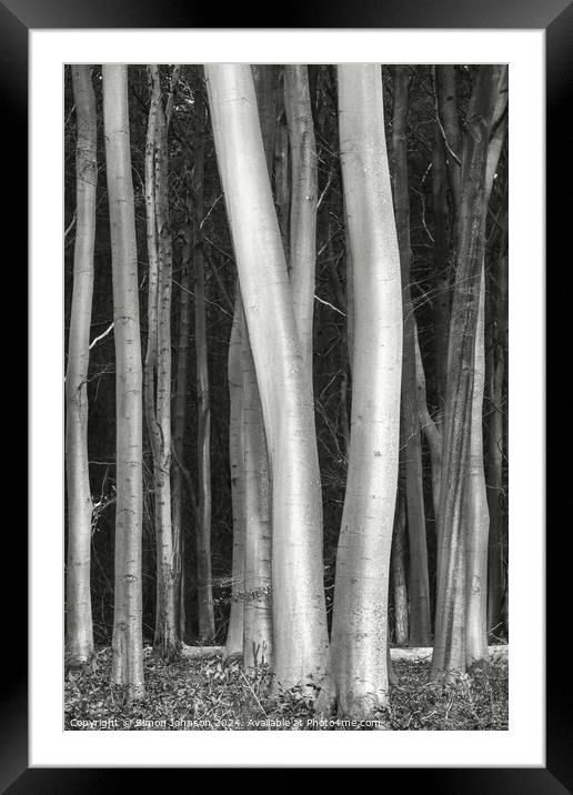 Sunlit tree trunks Framed Mounted Print by Simon Johnson