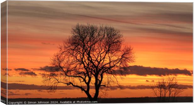Tree silhouette sunset  Canvas Print by Simon Johnson