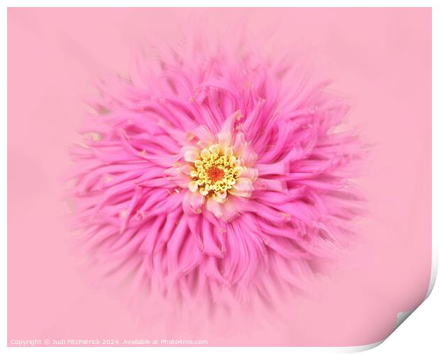 Fluffy Pink Do Over Print by Judi FitzPatrick
