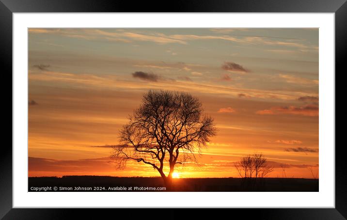 Tree silhouette sunset  Framed Mounted Print by Simon Johnson