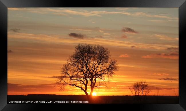 Tree silhouette sunset  Framed Print by Simon Johnson