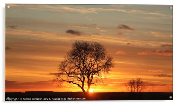Tree silhouette sunset  Acrylic by Simon Johnson