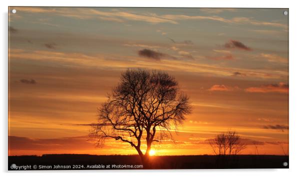 Tree silhouette sunset  Acrylic by Simon Johnson