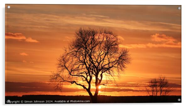 Tree silhouette Sunset  Acrylic by Simon Johnson