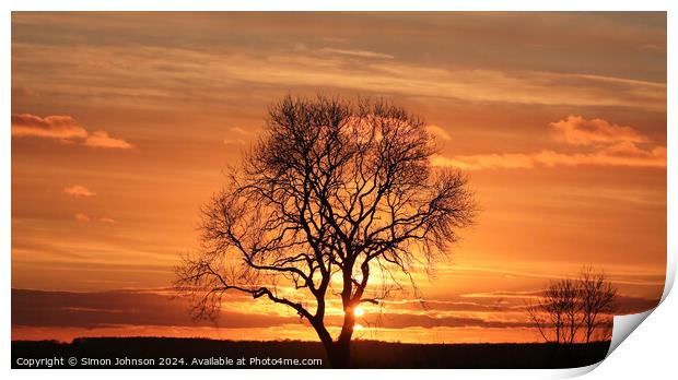 Tree silhouette Sunset  Print by Simon Johnson