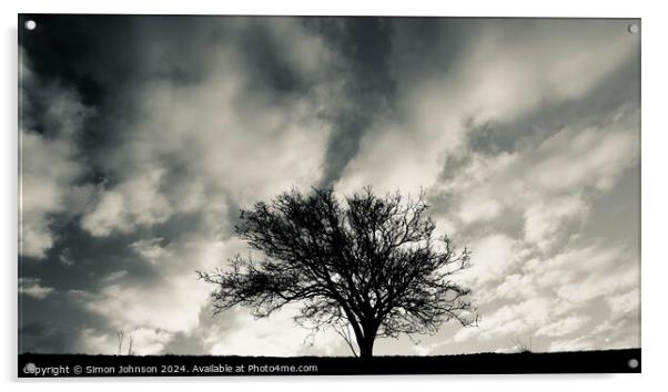 Tree silhouette monochrome  Acrylic by Simon Johnson